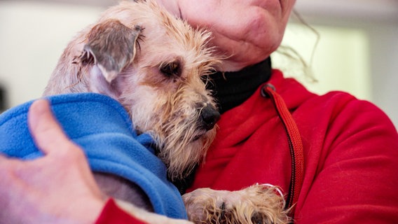 Eine Frau hält einen verwahrlosten Hund auf dem Arm. © NDR 