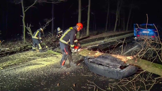 Feuerwehrleute zersägen bei Meppen einen Baum, der durch Sturm auf die Straße gestürzt ist. Dahinter ein Auto, das über dem Baum gefahren ist. © Nord-West-Media TV 