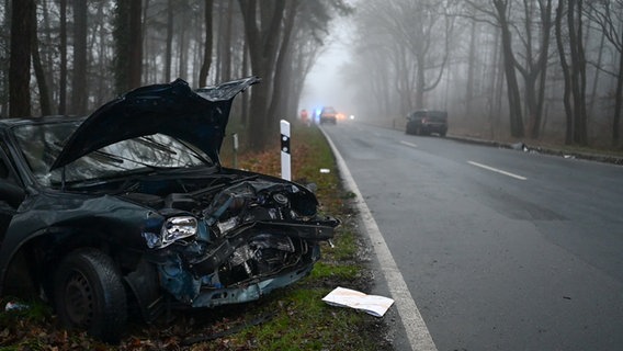 Ein stark an der Front beschädigtes Auto steht in einer Allee auf einem Grünstreifen neben der Fahrbahn. © dpa-Bildfunk Foto: Lars Penning/dpa