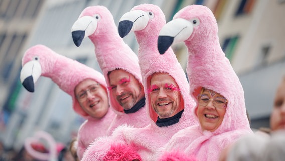 Für den Ossensamstag in Osnabrück hat sich eine Gruppe als Flamingos verkleidet. © dpa-Bildfunk Foto: Friso Gentsch