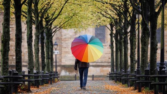 Ein Mann geht mit einem regenbogenfarbenen Regenschirm durch eine Allee mit Bäumen, die Herbstlaub tragen. © picture alliance/dpa Foto: Friso Gentsch