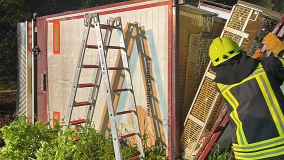 Die Einsatzkräfte der Feuerwehr bergen die Hühner, die sich während des Unfalls im Transporter befanden. © Feuerwehr Twist 