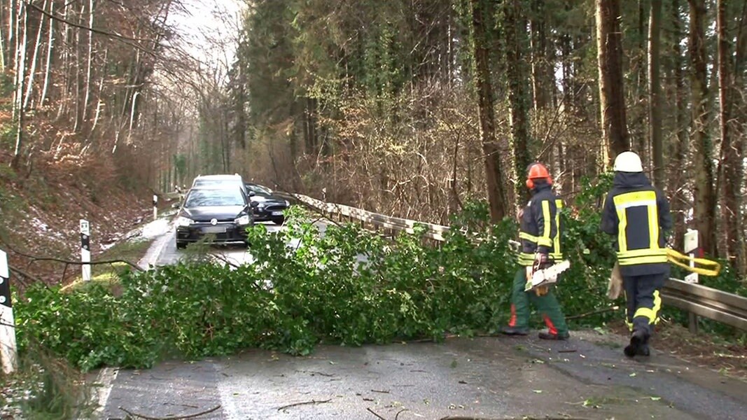 Orkantief "Friederike" Bahnverkehr eingestellt NDR.de