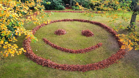 Ein Smiley aus Laub in einem Garten. © NDR Foto: Ralf Schoolmann