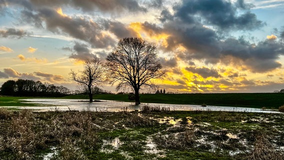 Wolken am Himmel über Rhede an der Ems. © NDR Foto: Gerrit Denekas