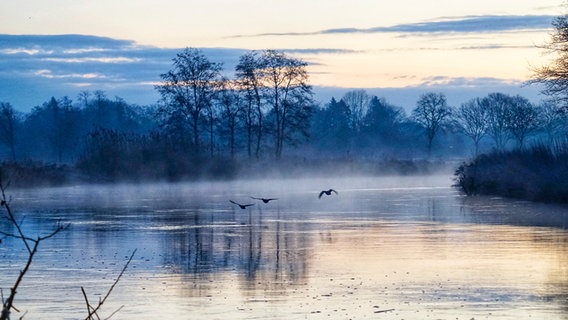 Zum Sonnenaufgang fliegen in der Grafschaft Bentheim drei Vögel über einen nebelbedeckten Fluss. © NDR Foto: Jens Ballmann