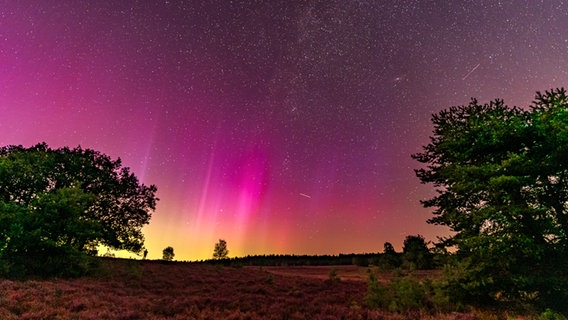 Polarlichter am Himmel über der Weseler Heide. © NDR Foto: Dieter Rabenstein