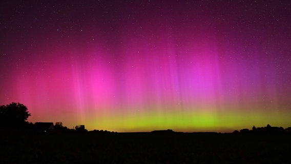 Polarlichter am Nachthimmel über Radenbeck. © NDR Foto: Kerstin Schulz