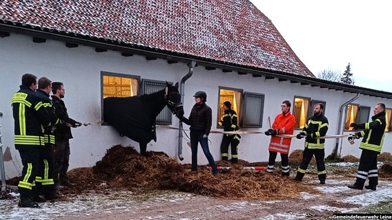 Sechs Feuerwehrleute stehen um ein Stallgebäude. Im Fenster steht ein Pferd, die Vorderhufe und der vordere Teil seines Körpers sind im Freien, Hinterteil und hintere Hufe befinden sich noch im Gebäude, © Gemeindefeuerwehr Leinebergland Foto: Gemeindefeuerwehr Leinebergland