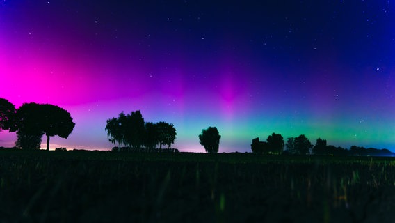 Polarlichter sind am Himmel über Ebstorf zu sehen. © NDR Foto: Leon Tonhäuser