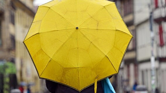 Ein gelber Regenschirm. © picture alliance Foto: Martin Schutt/dpa