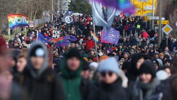 Auf dem Bild zu sehen sind mehrere Hundert Menschen, die im sächsischen Riesa gegen den AfD-Bundesparteitag demonstrieren. © picture alliance/dpa Foto: Jan Woitas