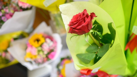 Eine rote Rose in einem Blumenladen © dpa-Bildfunk Foto: Julian Stratenschulte