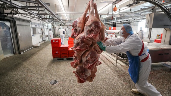 Eine Mitarbeiter schiebt Schweinekeulen durch einen Schlachtereibetrieb. © picture alliance Foto: Jan Woitas