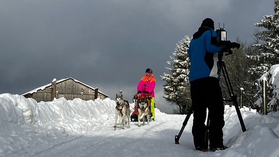 Training mit Schlittenhunden im verschneiten Clausthal-Zellerfeld. © NDR Foto: Anna Koerber