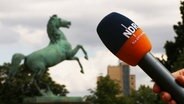 NDR Niedersachsen Mikrofon vor Pferdestatue an der Uni Hannover. © NDR Foto: Mike Grytz/Meike Kloiber