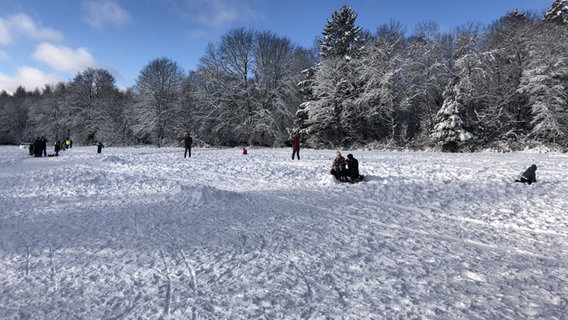 Schnee im Solling. © NDR Foto: Wilhelm Purk