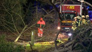 Einsatzkräfte der Feuerwehr räumen Bäume von der Straße. © NonstopNews 