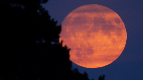 Ein "Supermond" am Himmel über Niedersachsen © Nord-West-Media TV 