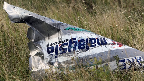Ein Wrackteil der in der Ukraine abgestürzten Boeing 777 © dpa Bildfunk Foto: Igor Kovalenko