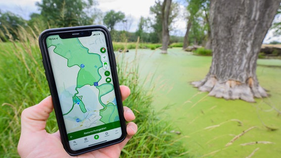Ein Handy zeigt eine Umwelt-App vor einem See. © Julian Stratenschulte/dpa Foto: Julian Stratenschulte