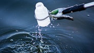 Aus dem Silbersee in der Region Hannover wird zur Überwachung der Wasserqualität eine Wasserprobe genommen. © dpa-Bildfunk Foto: Moritz Frankenberg