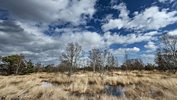 Wolken auf blauem Himmel über einem Moor. © NDR Foto: Lorenz Wodzinski