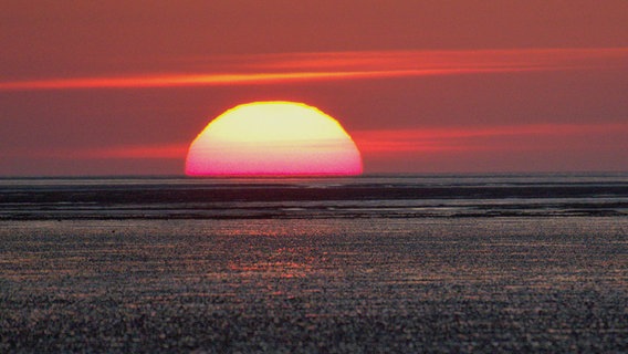 Die Sonne geht hinter dem Wattenmeer unter. © NDR Foto: Reinhard Paulin