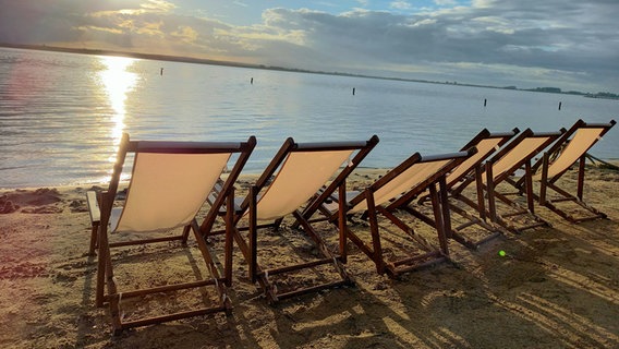 Liegestühle stehen am Dümmer See. © NDR Foto: Petra Stelloh