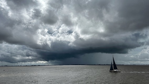 Ein Segelboot auf dem Wasser, im Hintergrund sind dunkle Wolken zu sehen. © NDR Foto: Andreas Depping