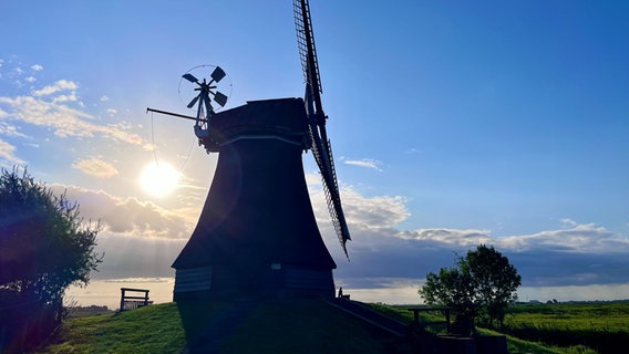 Blick auf eine Windmühle am Wynhamster Kolk. © NDR Foto: Stefanie Helbach