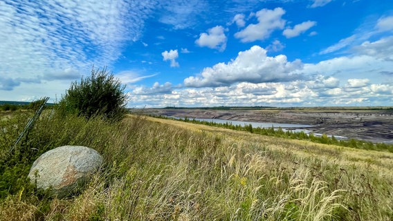 Blick auf eine Wiese mit einem Grenzstein und den Tagebau Schöningen © NDR Foto: Sandra Henneberg