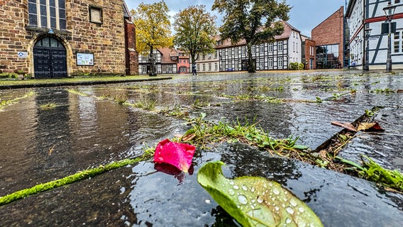 Blick auf den nassen Kirchplatz in Nienburg. © NDR Foto: Tanja Scheer