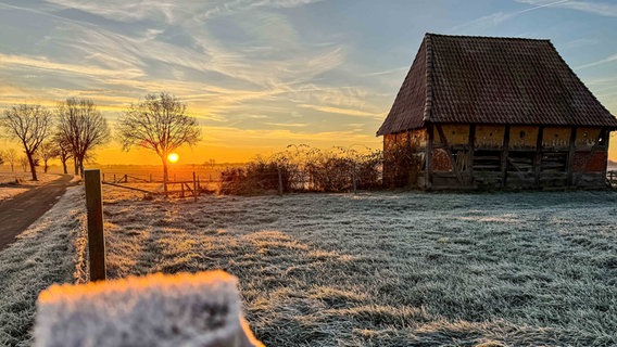 Frost ist am frühen Morgen auf einer Wiese in der Nienburger Marsch zu sehen. © NDR Foto: Tanja Scheer