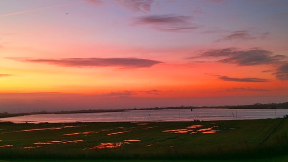 Deichblick auf die Ems bei Oldersum (Landkreis Leer) bei Sonnenaufgang. © NDR Foto: Uwe Dreesmann