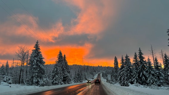 Autos fahren auf einer verschneiten Straße in Oderbrück im Harz. © NDR Foto: Frauke Jacobs