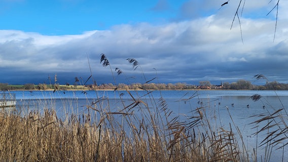 Blick auf den teilweise gefrorenen Seeburger See. © NDR Foto: Katrin Geppert