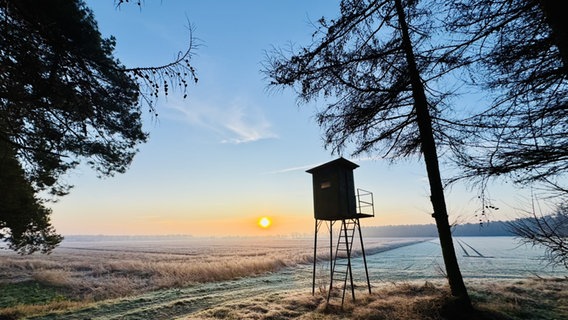 Ein Hochsitz im Geester Wald bei Sonnenschein. © NDR Foto: Barbara Hampel