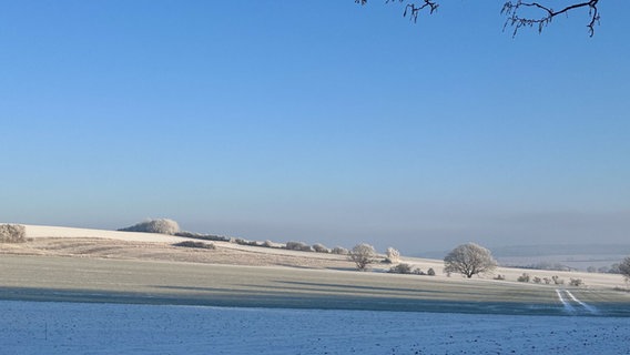 Weiß-blaue Landschaft zwischen Holle (Landkreis Hildesheim) und Baddeckenstedt (Landkreis Wolfenbüttel). © NDR Foto: Antje Rache