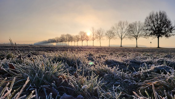 Frost hast sich am frühen Morgen auf einer Wiese bei Eydelstedt gebildet. © NDR Foto: Maike Lachmann