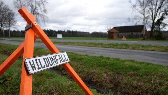 Ein Schild warnt vor einem Wildunfall. © Nord-West-Media TV 