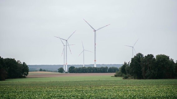 Windkrafträder stehen hinter Feldern © NDR Foto: Julius Matuschik