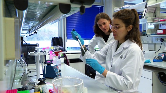 Marieke Oudelaar und Spyrdoula Sagropoulou arbeiten im Labor des Max-Planck-Instituts für multidisziplinäre Naturwissenschaften in Göttingen. © NDR 