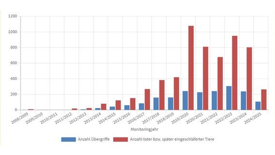 Eine Grafik zeigt die Entwicklung bei Nutztierschäden durch den Wolf. © Landesjägerschaft Niedersachsen e.V. 