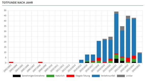 Eine Grafik zeigt Totfunde von Wölfen in Niedersachsen pro Jahr. © Landesjägerschaft Niedersachsen e.V. 