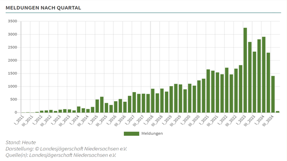 Eine Grafik zeigt die Anzahl an Wolfsmeldungn pro Jahr und Quartal. © Landesjägerschaft Niedersachsen e.V. 