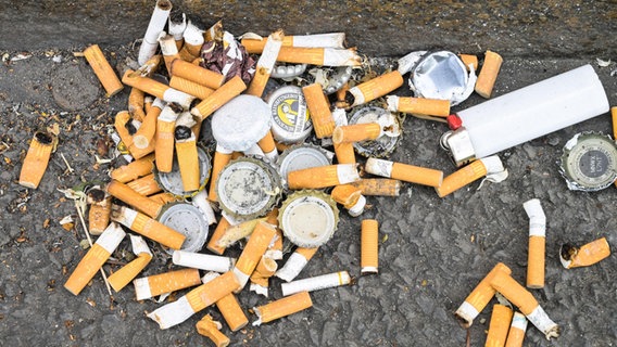 Zigarettenstummel liegen zusammengekehrt auf einer Straße. © picture alliance / imageBROKER | Schoening Foto: Schoening