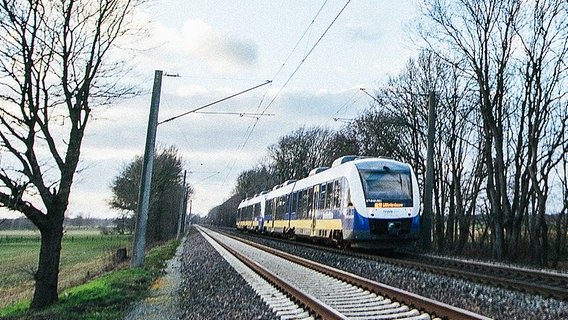 Ein blau-gelb-weißer Regionalzug fährt über eine Bahntrasse. © NDR Foto: Julius Matuschik