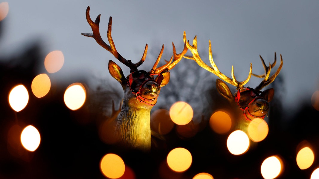 Diese Adventsmärkte in SH öffnen noch vor den Weihnachtsmärkten