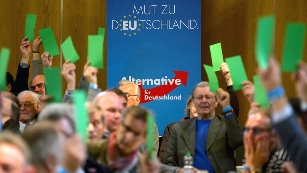 Parteimitglieder der AfD halten beim Landesparteitag in Henstedt-Ulzburg am 16. April 2016 grüne Stimmzettel hoch.